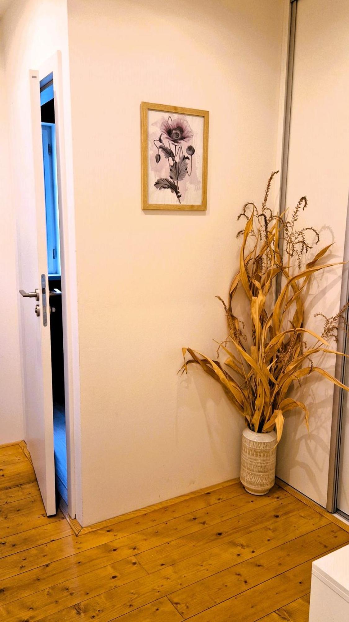 Apartmany Vcelin Brniste Екстер'єр фото