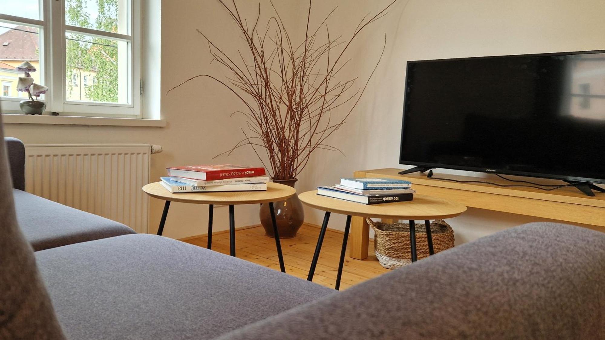 Apartmany Vcelin Brniste Екстер'єр фото